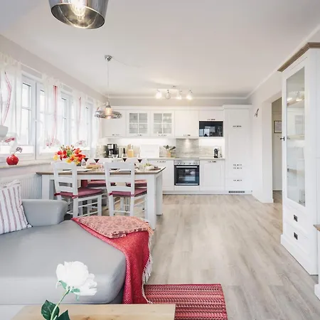 Seeschwalbe * Zingst